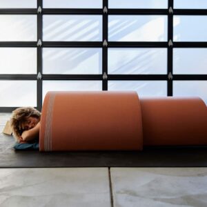 08 Seamless Alecia Dome and Mat Scaledown005