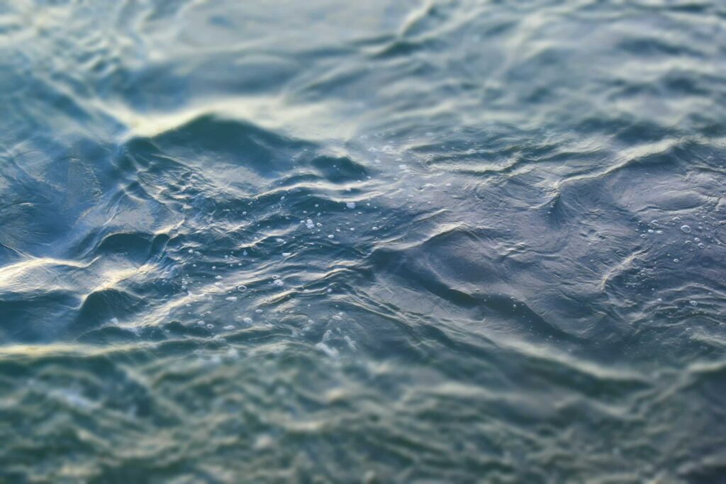 AdobeStock 244187039 scaled